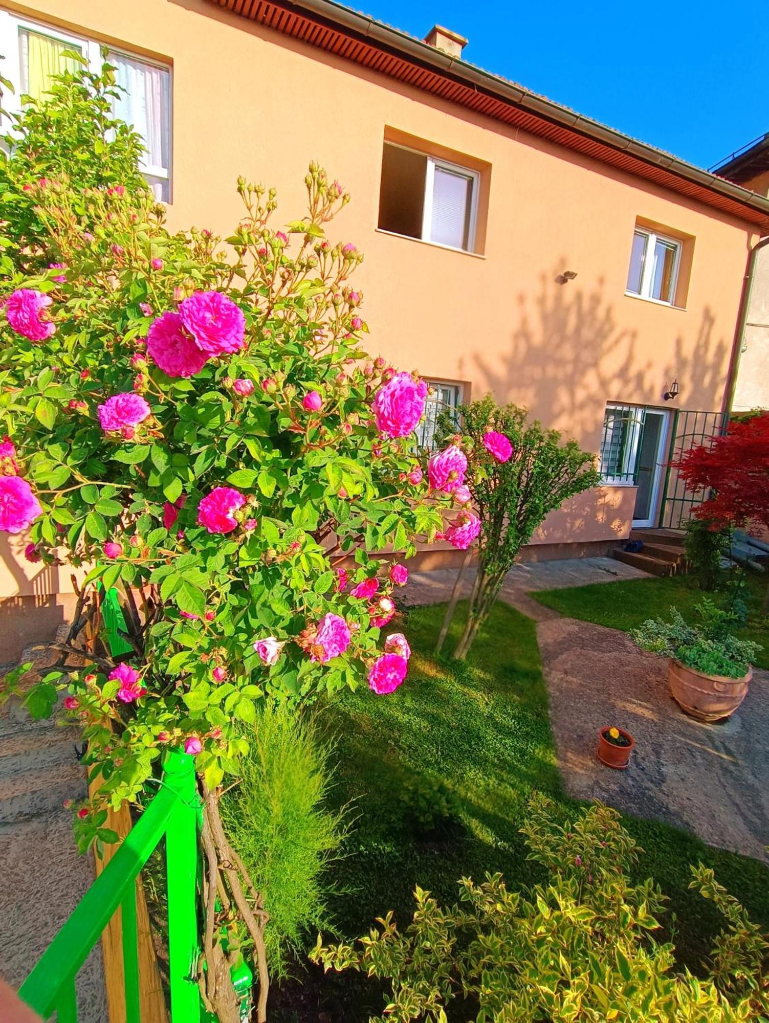 Garden Free Parking Apartamento Saraievo Exterior foto