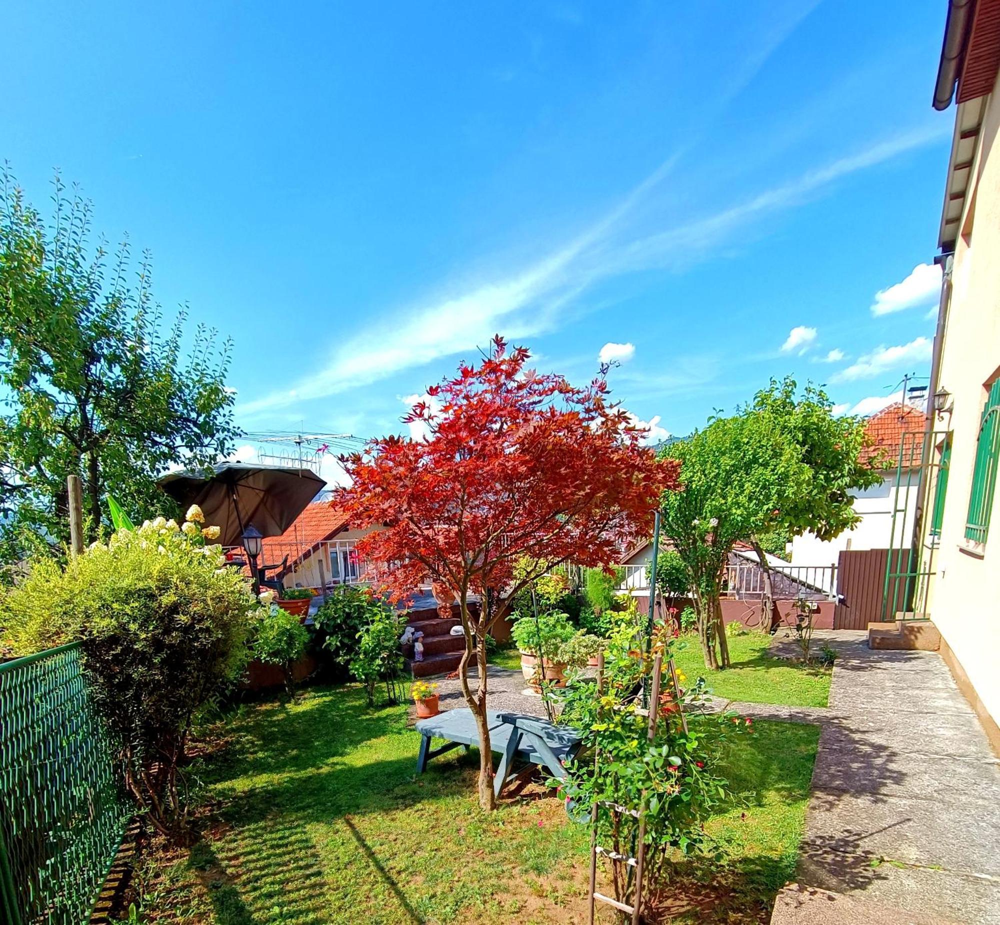Garden Free Parking Apartamento Saraievo Quarto foto