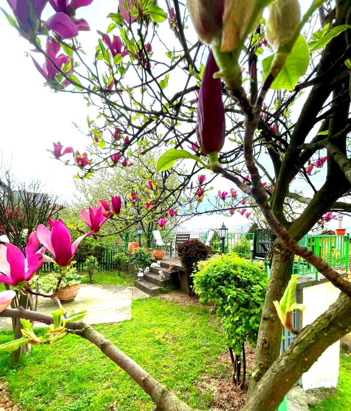 Garden Free Parking Apartamento Saraievo Exterior foto